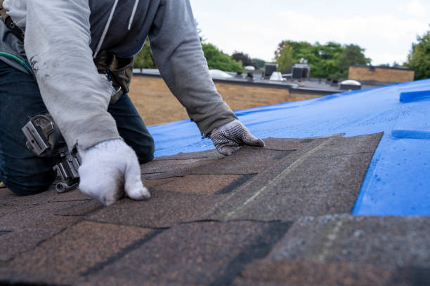 Best Best Roofing Contractors  in Rome City, IN